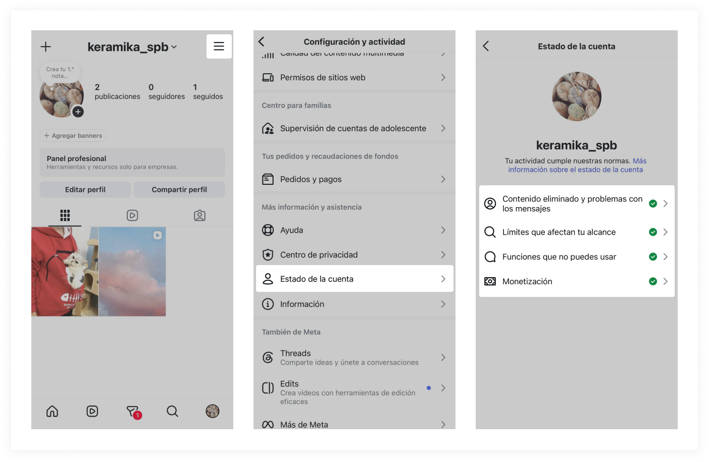 Estado De La Cuenta